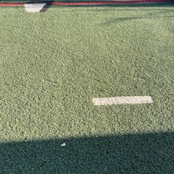 Turf Infill