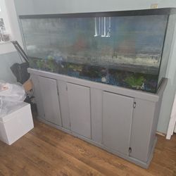 FISHTANK/PECERA 55+ gallon