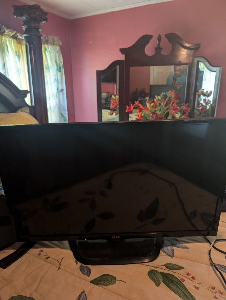 22-In LG TV