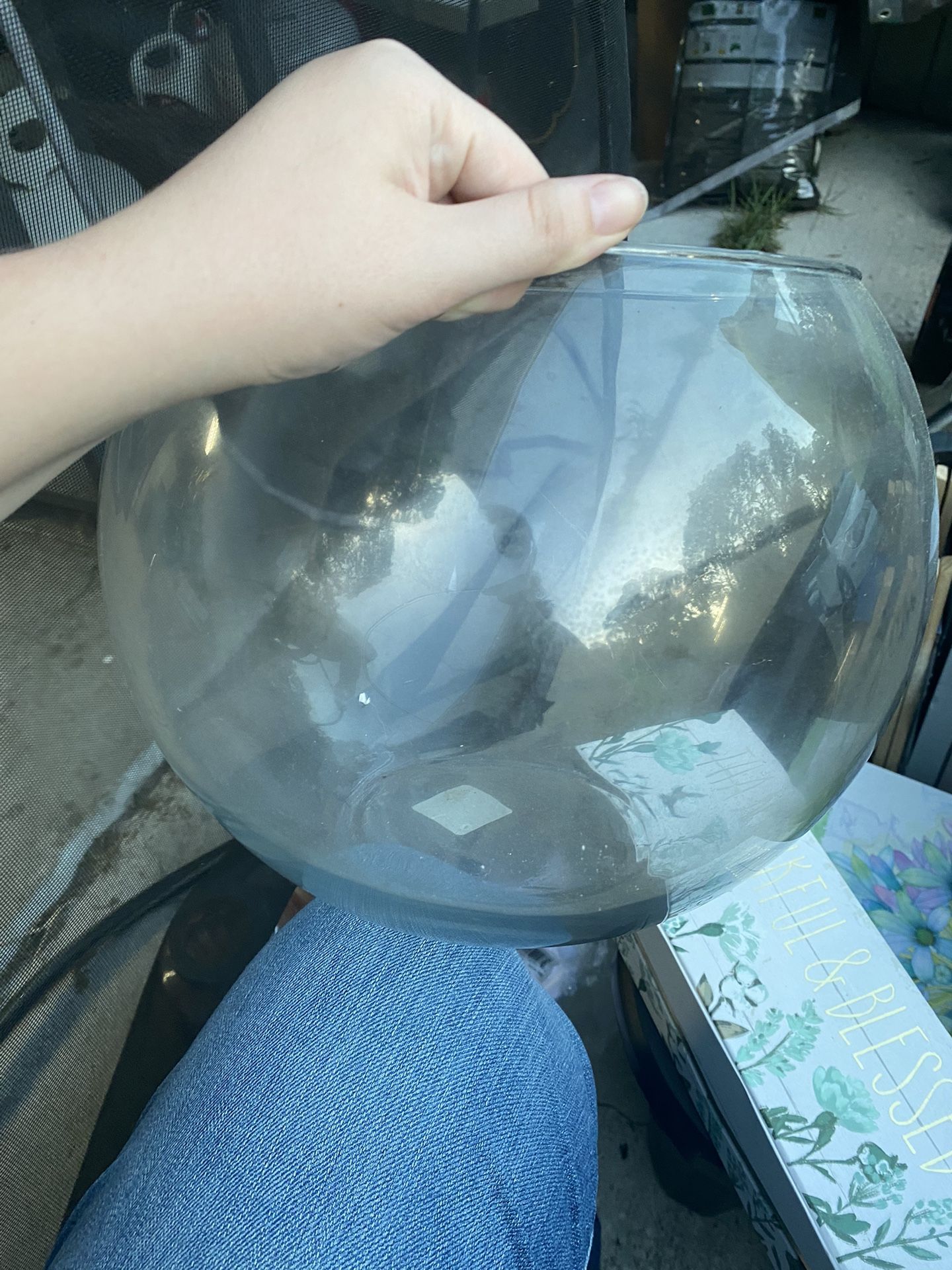 Big Fishbowl Glass