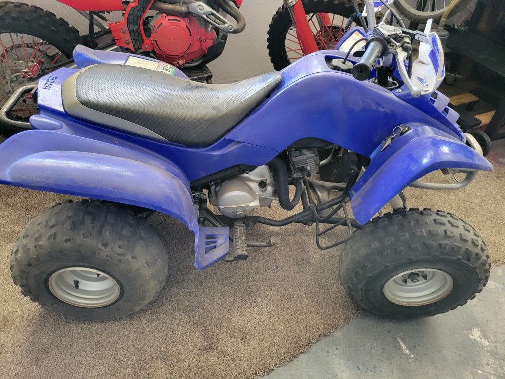 Yamaha Raptor 80