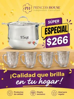 Tazas y Olla princess house