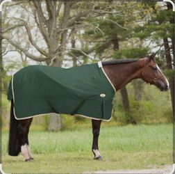 Big D Espree horse Turnout Sheet blanket hunter green new 84