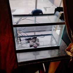10 Gallon Aquarium