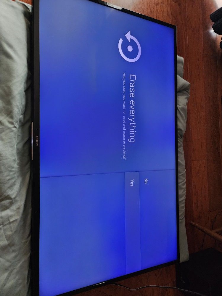 Sony 55" TV