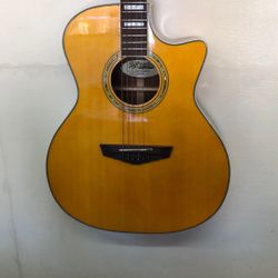 Acoustic Guitar 