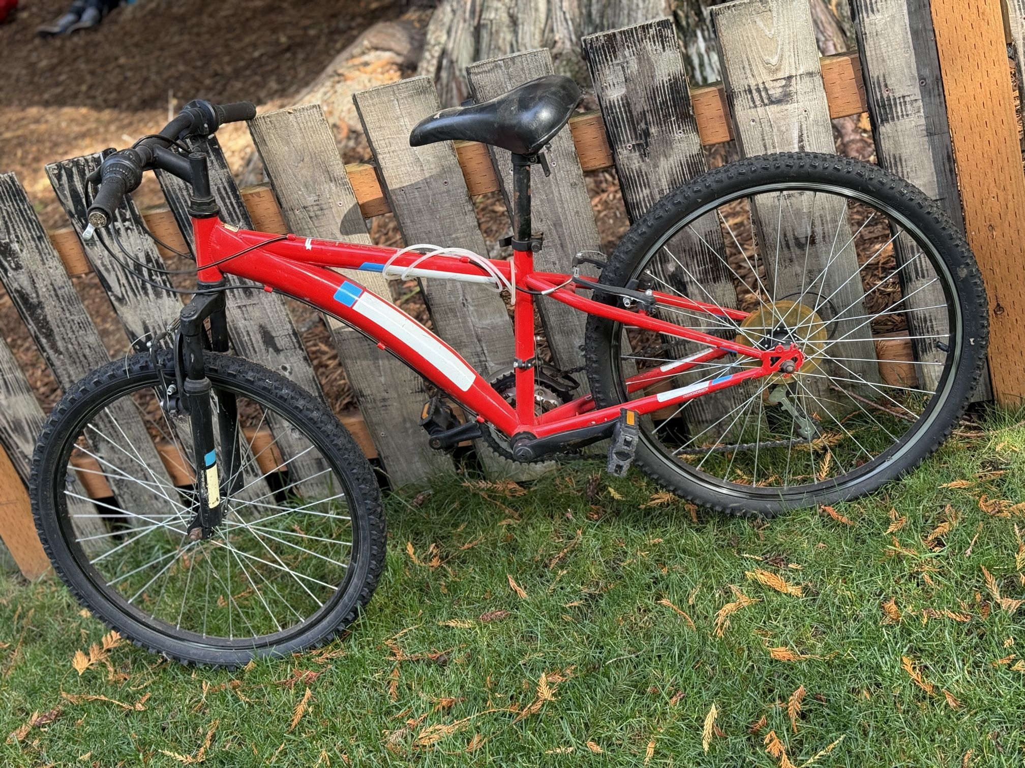 Diamondback Cobra 24 Bicycle 