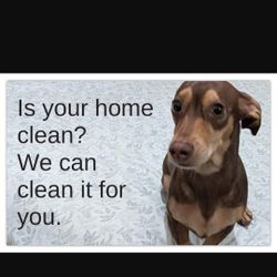 Home cleaning