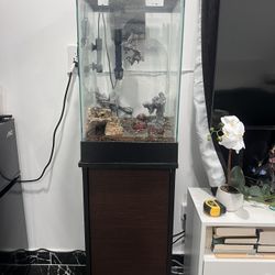 Aquarium With Everything