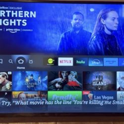 58” Insignia LED TV – Excellent Condition