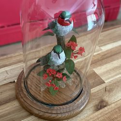 Ruby Throated Hummingbirds By DeSelma Wings