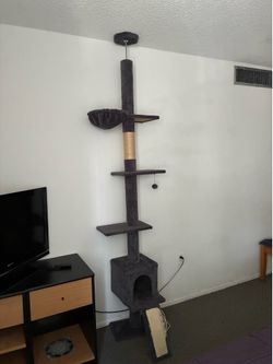 Cat house