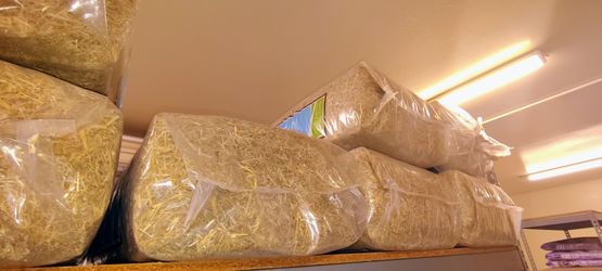 Hay Bedding For Chickens (NEW FEED STORE)