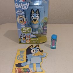 Bluey Bundle New