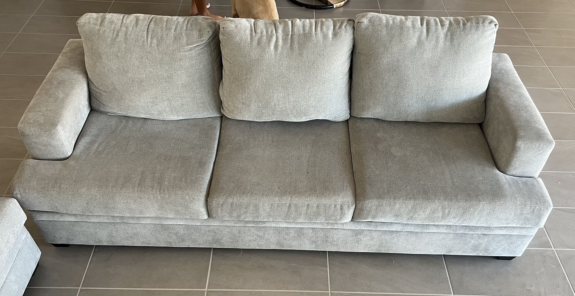 Sleeper Sofa
