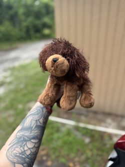 Brown Dog Webkinz