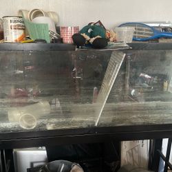 50 Or 55 Inch Fish Tank With The Stand