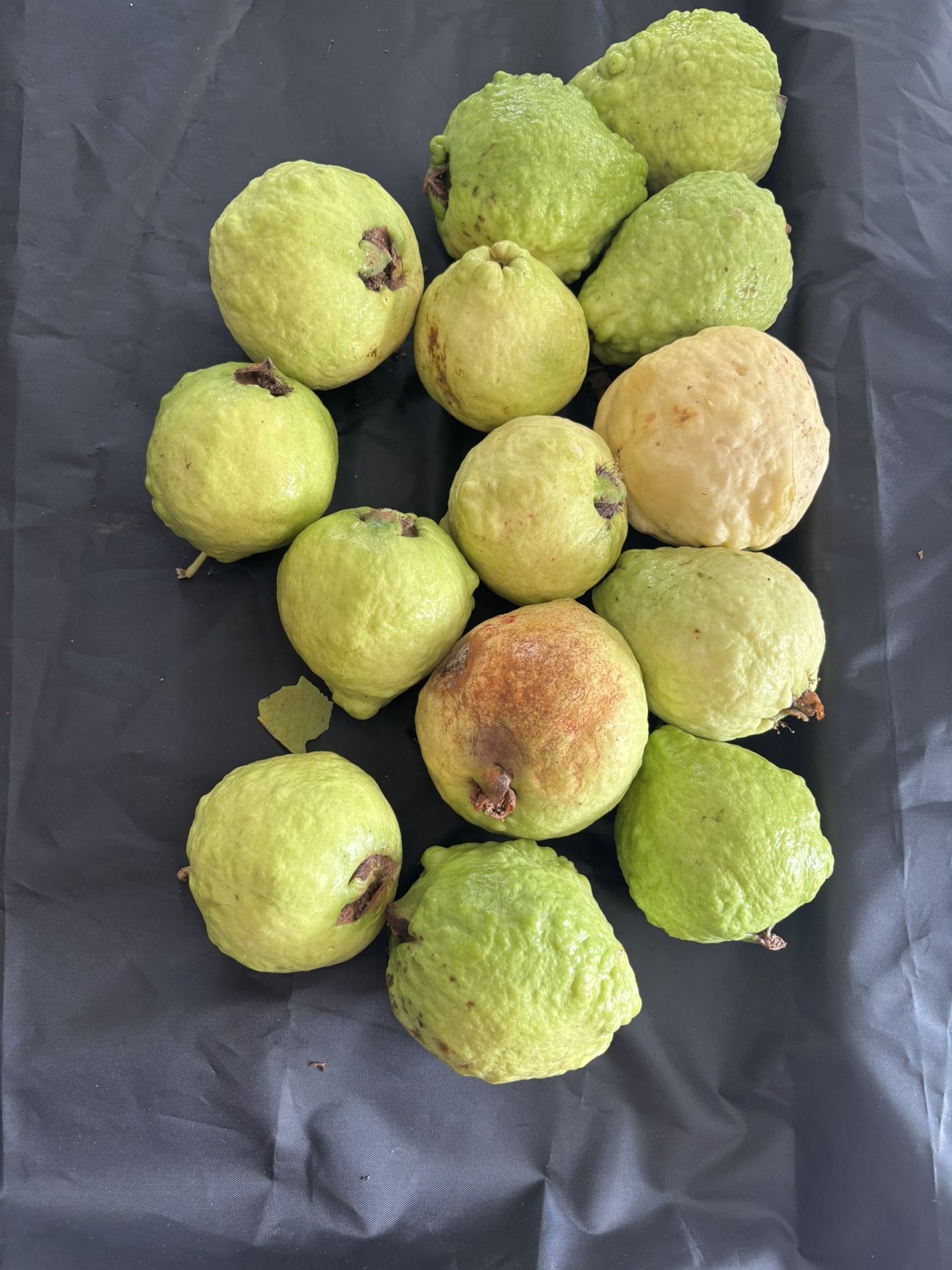 Guavas
