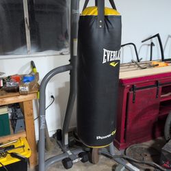 Everlast Nevatear 100lb Punching Bag w/ Stand 