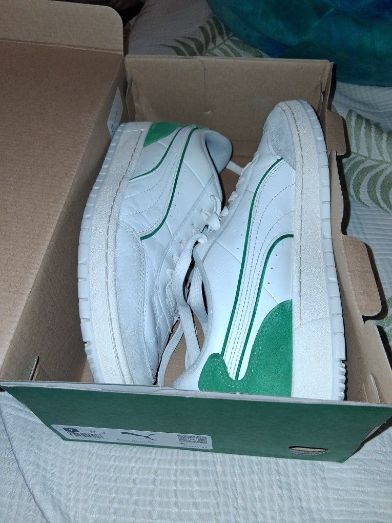 Green Are Grey Pumas