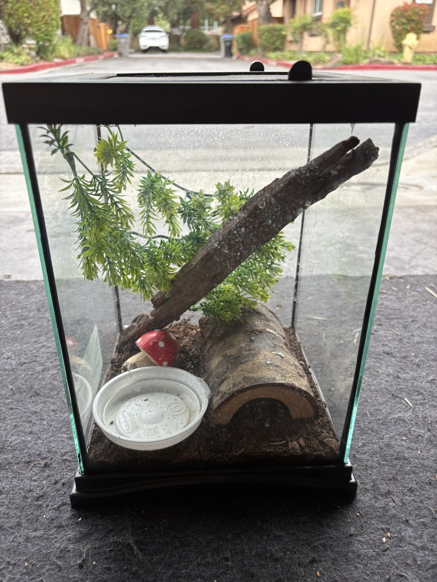 Terrarium