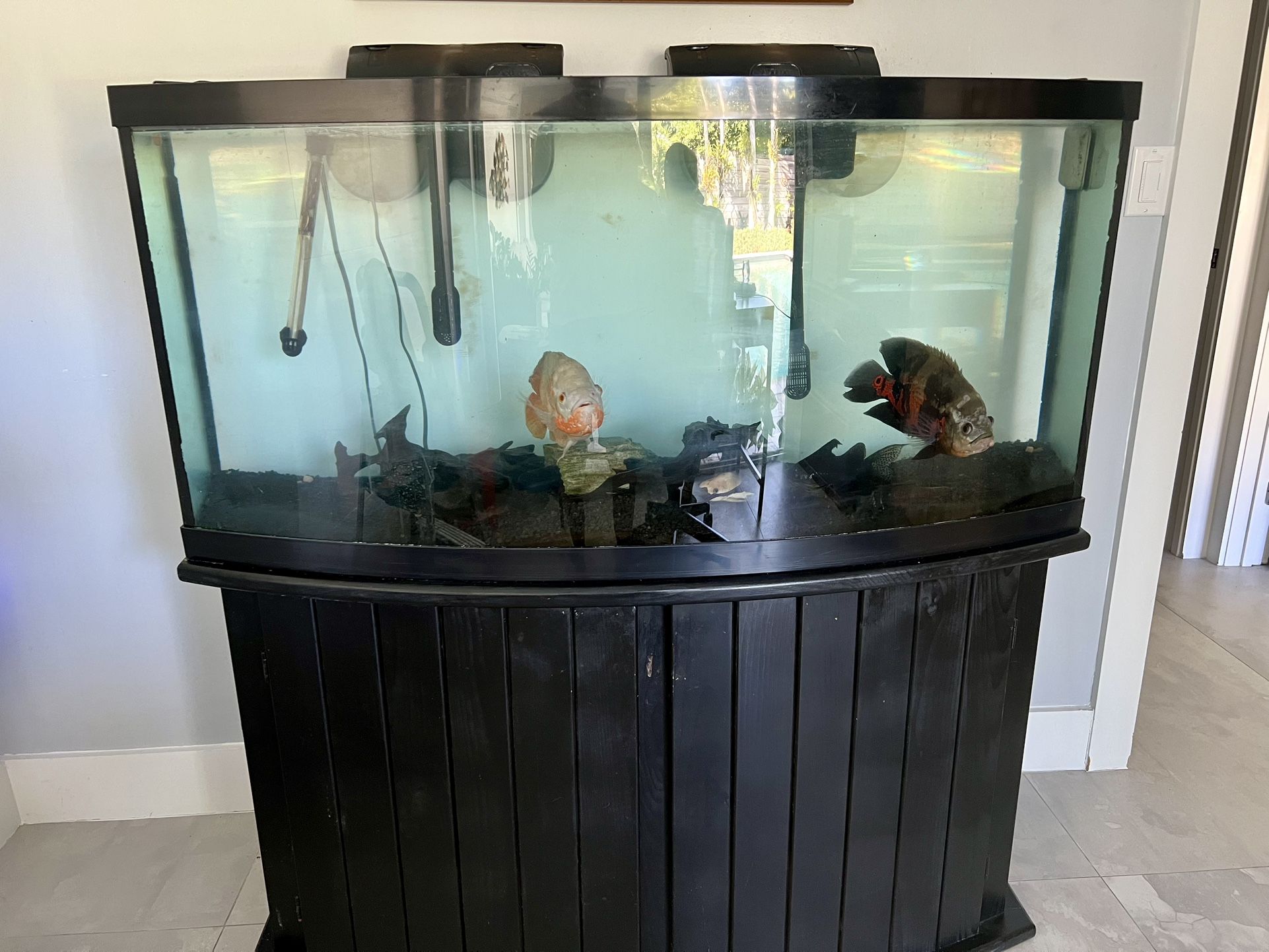 Fish Tank 72 Gallon Bow-front for Sale in Laud By Sea, FL - OfferUp