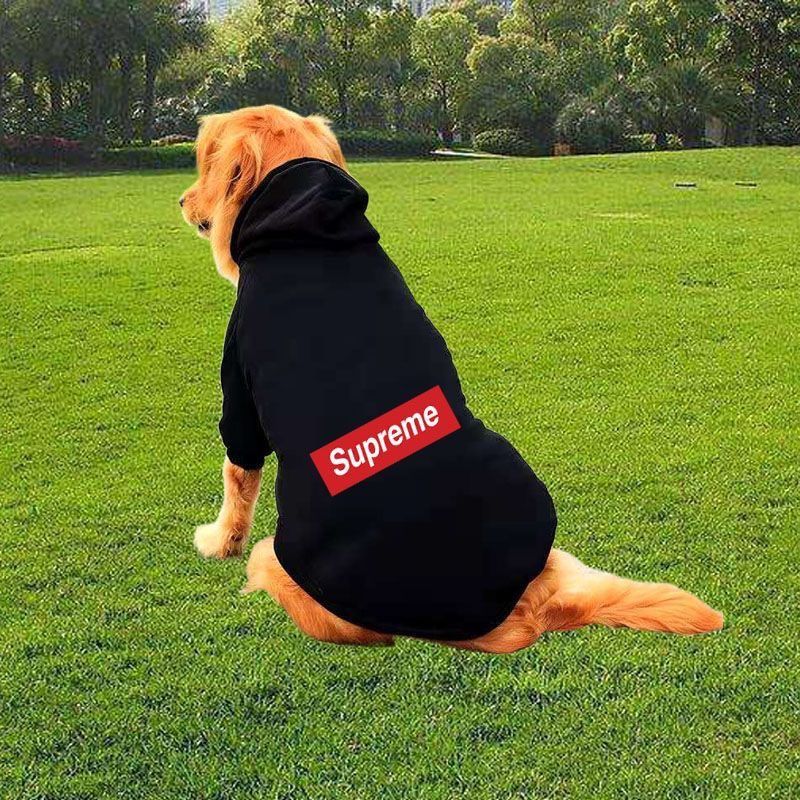 Dog clothes