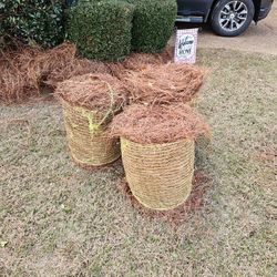 3 Rolls Of Longleaf Pinestraw