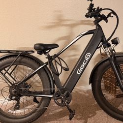 Eletric Bike