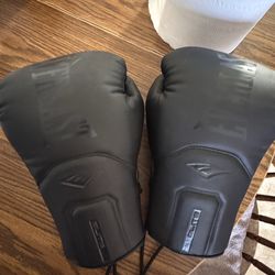 Everlast boxing gloves