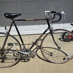 Vintage Scwinn World Sport
