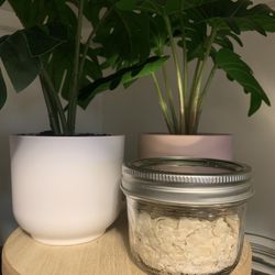 Organic sourdough starter