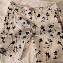 Arizona 40w Palm Tree On Off-white Bermuda Shorts