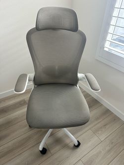 Gray Mesh Ergonomic Office Chair