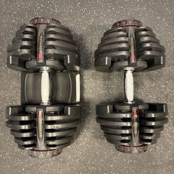 Bowflex SelectTech 1090 (10lb-90lb) Adjustable Dumbbells (Missing 1 Base)