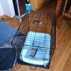 Dog Cages Larger - (2) With Brand New Cage Cushions - Each Price Is $40 They Are Still Available 