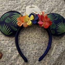 Disney Park Ears 