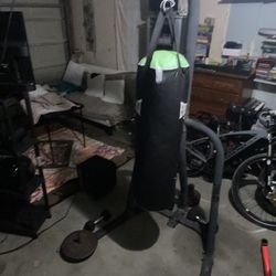 Punching bag 