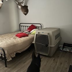 Dog Crate