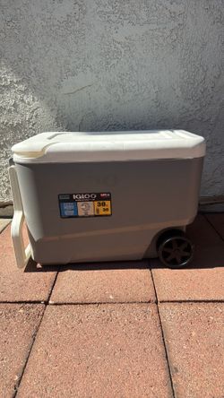 Igloo cooler