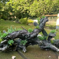 Fish Tank Decor