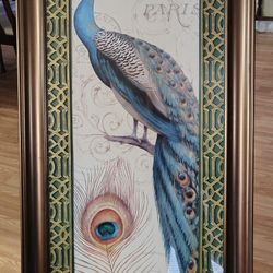 Framed Paris Peacock Wall Decor with Easel 