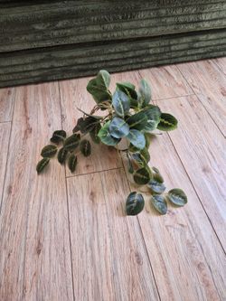 faux hanging plant
