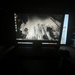 Sony Vaio All In One