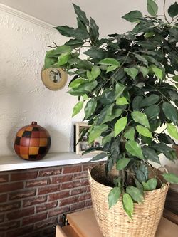 Plastic tree with basket