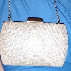 Clutch Purse Silver 