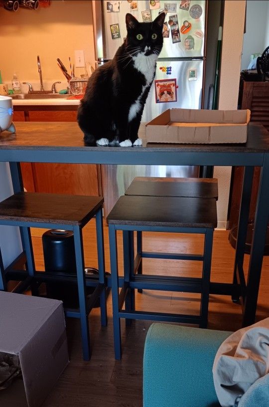 Counter Height Bar Table & 4 Stools - Like New!