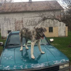 https://offerup.co/faYXKzQFnY?$deeplink_path=/redirect/ / General Contracting And Conveyance
