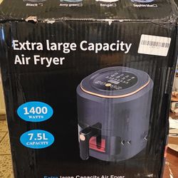 Air Fryer Ex Large