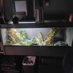 48x24x24 Tank 